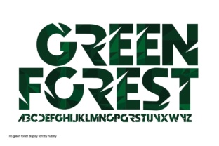 Choosing Green Forest: A Font Built for Editorial Depth